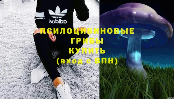 прущая мука Армянск