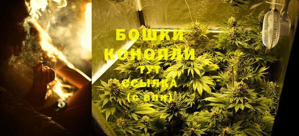 шишки Аркадак