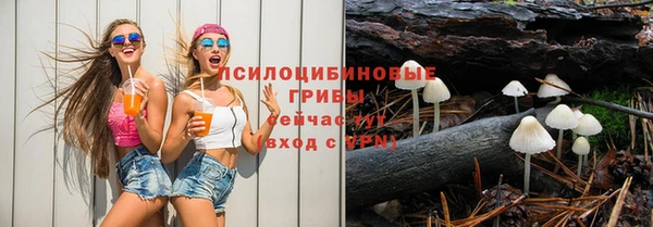 мдпв Арсеньев