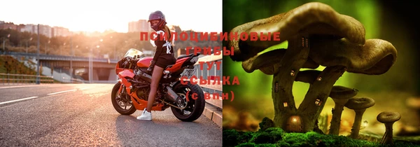 прущая мука Армянск