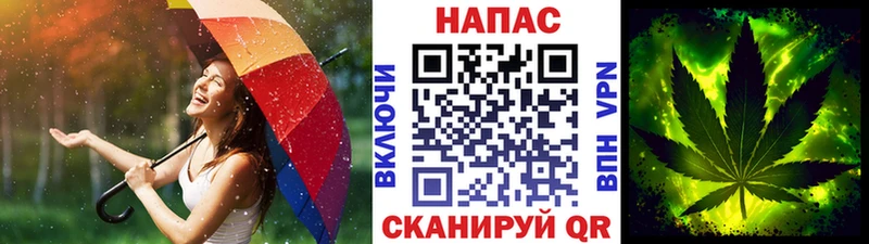 Шишки марихуана SATIVA & INDICA  цены   Онега 